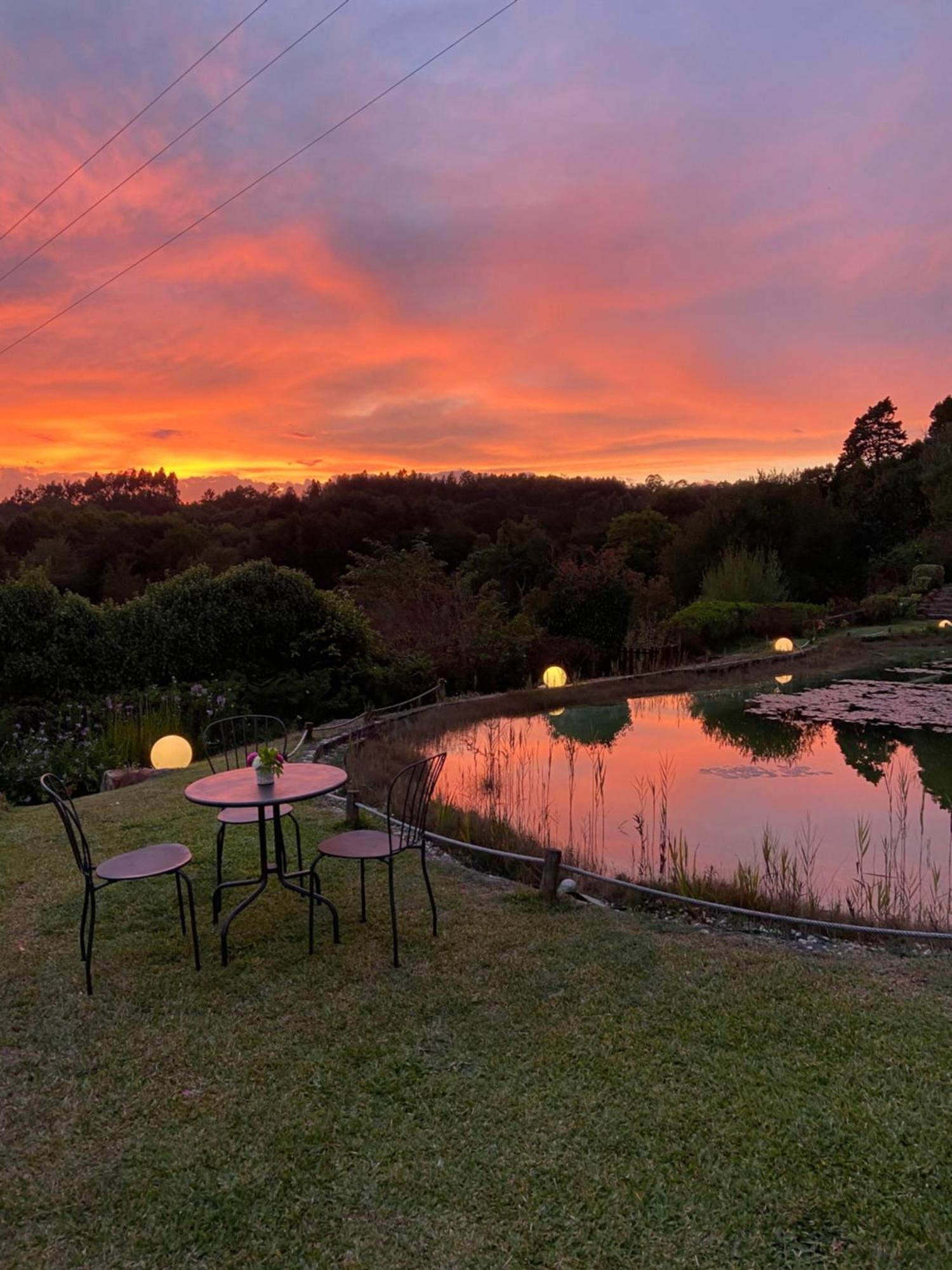 Affittacamere Quinta Da Fontoura Alquerubim Esterno foto