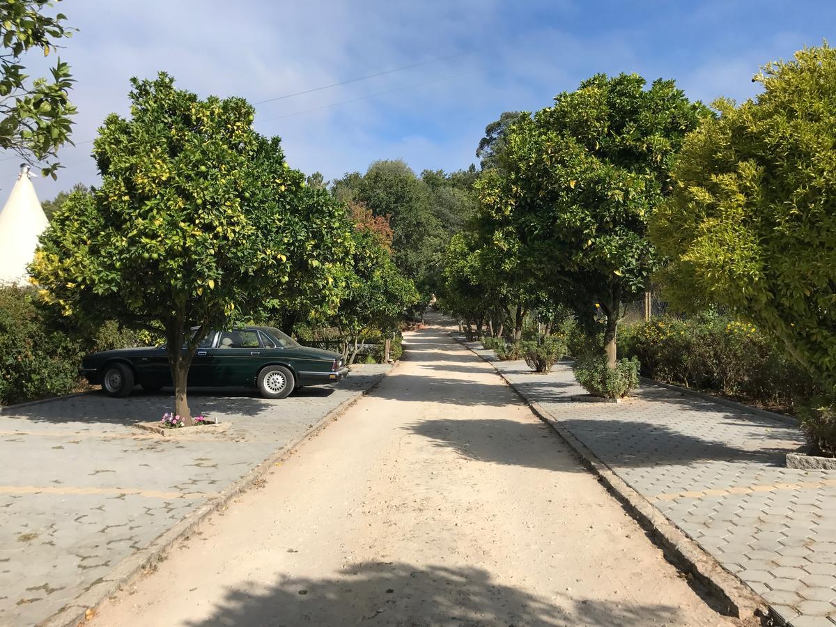 Affittacamere Quinta Da Fontoura Alquerubim Esterno foto